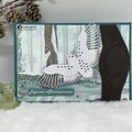 Carte d'Anniversaire Hivernale