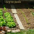 Des nouvelles du p'tit Jardin