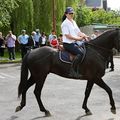 A CHEVAL, LA SÉCURITÉ ET LE CONTACT PRENNENT UNE AUTRE DIMENSION.