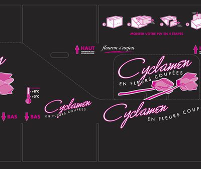 Fleuron d'Anjou - Habillage PLV Cyclamen