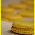 [ Macarons citron et sésame grillé ]