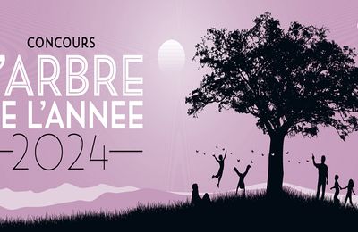 Édition 2024 du Concours Arbre de l’Année...