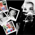 Wallpaper Divers (18) - Photos