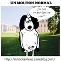 Un mouton normal