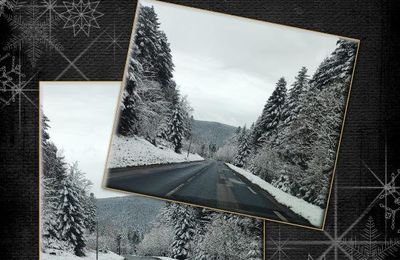 * Le col du Plafond dans les Vosges