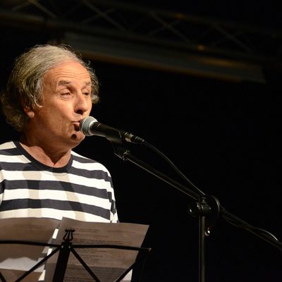 Manteau d’Arlequin - Gérard Fiorenzo