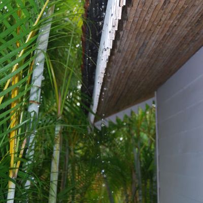 La saison verte commence....