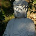 bouddha