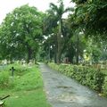 Calcutta - Bhowanipore Cemetery