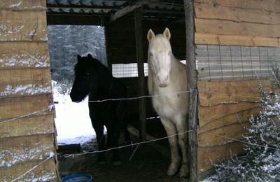 AUJOURD'HUI NEIGE