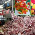 Quand vous aurez regardé comment les bonbons gélifiés sont vraiment fabriqués, vous n’aurez probablement plus envie d’en manger