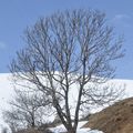 Col de cluy Perchon (1850 mètres), dimanche 4 avril 2018