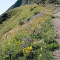 Au coeur du volcan, 1ère partie