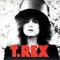 La naissance et la mort d'un dinausaure du trashy glam-rock... T. Rex
