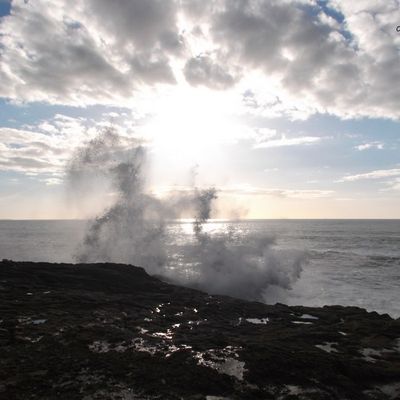 Promenade sur la Côte Sauvage .