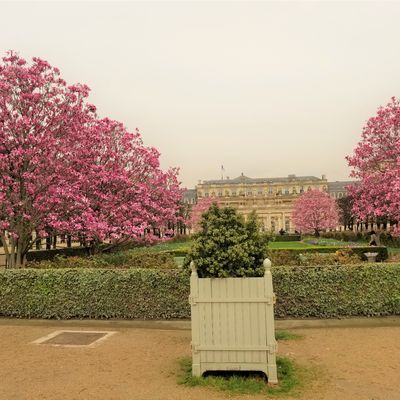 PARIS JARDIN DU PALAIS ROYAL.