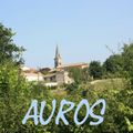 20140607 Auros