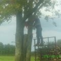 Cet arbre au beau milieu du pré avait été