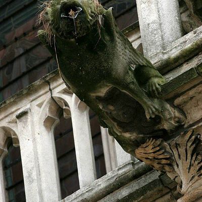  La Gargouille qui Bavouille !