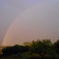 Arc en ciel et .....