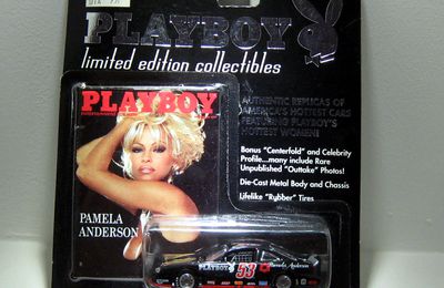 Nascar Pamela Anderson Playboy 