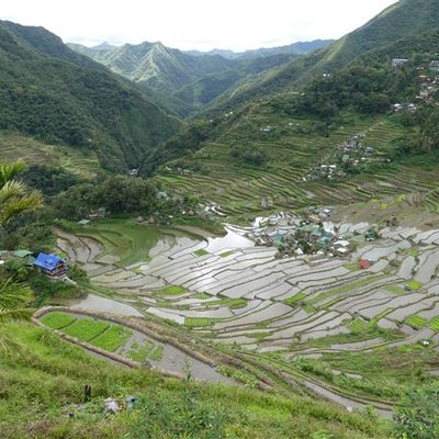 Voyage aux Philippines - de Cambulo à Batad
