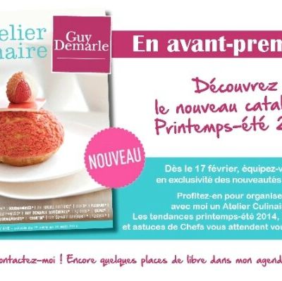 Le nouveau Catalogue Guy Demarle est disponible