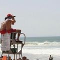 Surveillance des plages