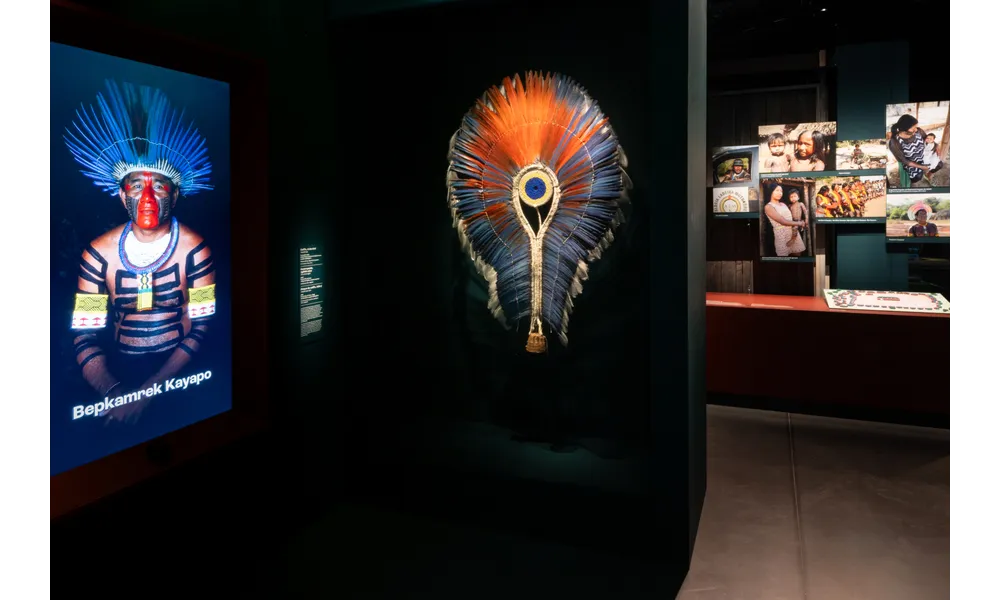  Au musée des Confluences, découvrez les différents visages de l’Amazonie brésilienne 