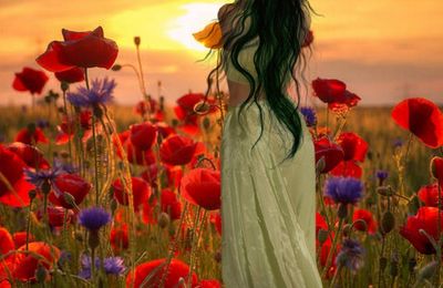 Coucher de soleil