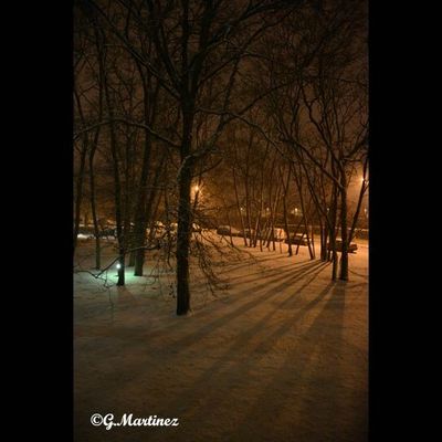 Neige et brouillard dans l'album photo "Ombre et lumière"
