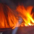 Une douce soirée au coin du feu alors que dehors le froid s'installe