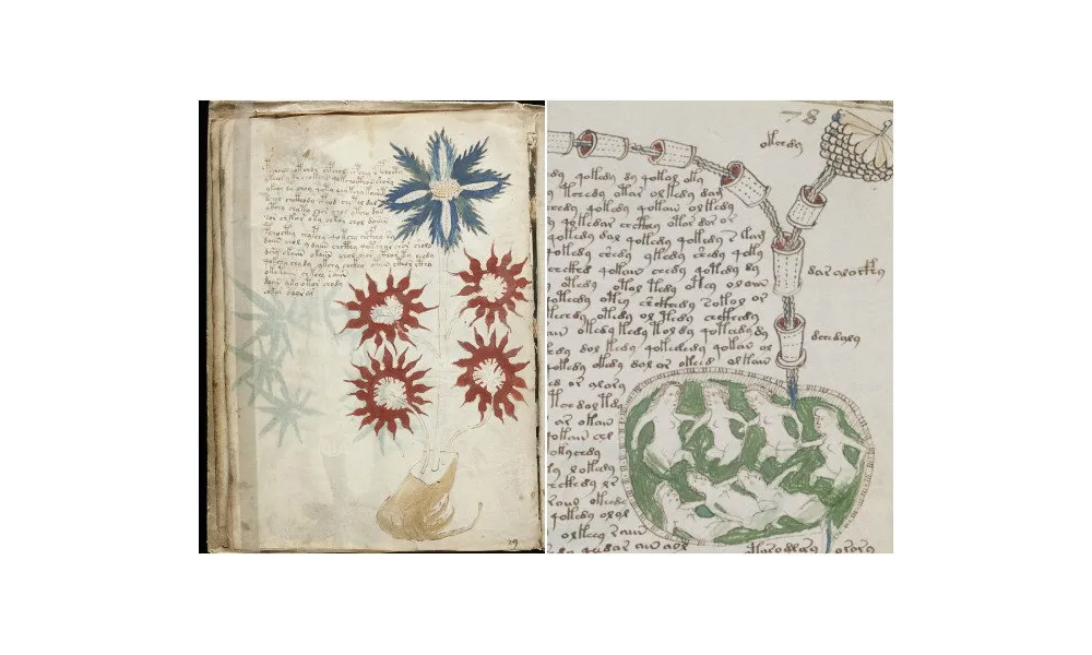 M comme... Manuscrit de Voynich