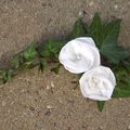 Essai de fleurs en papier pour la décoration...