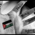 Situation des droits de l’homme dans le territoire palestinien occupé par Israël depuis 1967