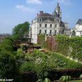 Les jardins de l'Évêché et la Roseraie à Blois (41)