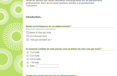 LE QUESTIONNAIRE : étude sur les pratiques des cadres en déplacement