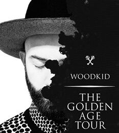 Il ne fallait pas manquer... Woodkid au Zénith de Paris