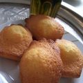 Délicieuses madeleines!!!