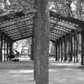 Le jardin du Luxembourg