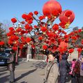 Le Nouvel-An Chinois au Parc de la Terre