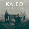 Way Down We Go - KALEO (Sylvia Lhene/Cover)
