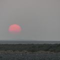 Ethiopie - Dépression du Danakil - de la Palmeraie de Saba au volcan Dallol