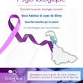 Réseau Maill'âge :Accompagnement psychologique dédié aux personnes atteintes d'un cancer 