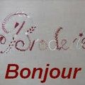 mes prochaines sorties broderie