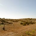 Souvenir du Larzac