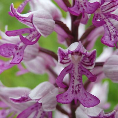 Une chaîne youtube pour nos sorties.