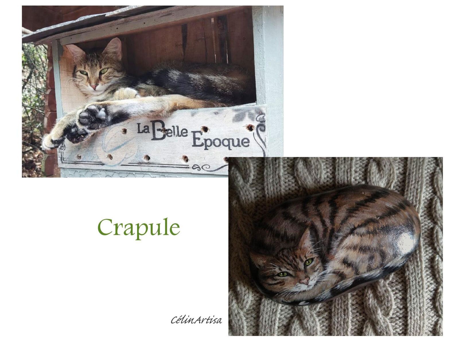 galet peint chat couché