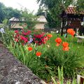 Un petit tour au jardin aromatique (de Lugdunum à Saint-Bertrand-Valcabrère)