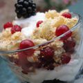 Verrine acidulée aux fruits rouges